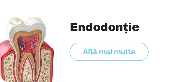 Endodontie