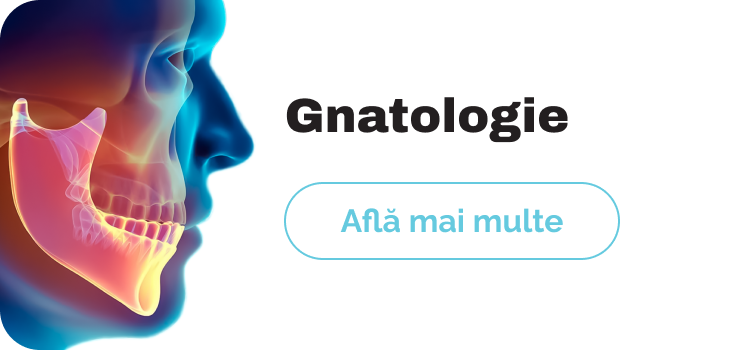 gnatologie