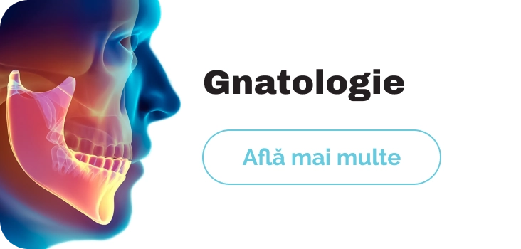gnatologie