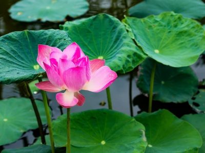 clinica stomatologică, implant dentar, dinți ficși, chirurgie oro-maxilo-facială, tratament stomatologic, proteză dentară, consultație stomatologică, medic dentist, estetică dentară, sănătate orală, dantură fixă, recenzii pacienți, servicii dentare, dantură completă, implant digital, parteneri implanturi, ghid chirurgical, echipă stomatologică, prețuri implanturi, prevenție dentară, clinica stomatologică București, implant dentar București, dinți ficși București, chirurgie oro-maxilo-facială București, tratament stomatologic București, proteză dentară București, consultație stomatologică București, medic dentist București, estetică dentară București, sănătate orală București, dantură fixă București, recenzii pacienți București, servicii dentare București, dantură completă București, implant digital București, parteneri implanturi București, ghid chirurgical București, echipă stomatologică București, prețuri implanturi București, prevenție dentară București